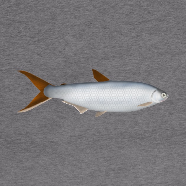 Silversides by FishFolkArt